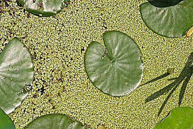 Game Pass 2022年8月下旬新增游戏公布